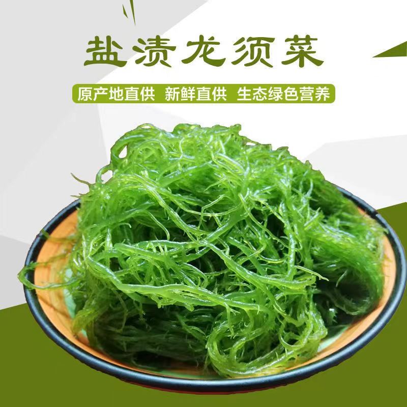 天然海藻海草石花菜龙须菜500克凉拌菜火锅羹汤菜美食新鲜鲜脆绿