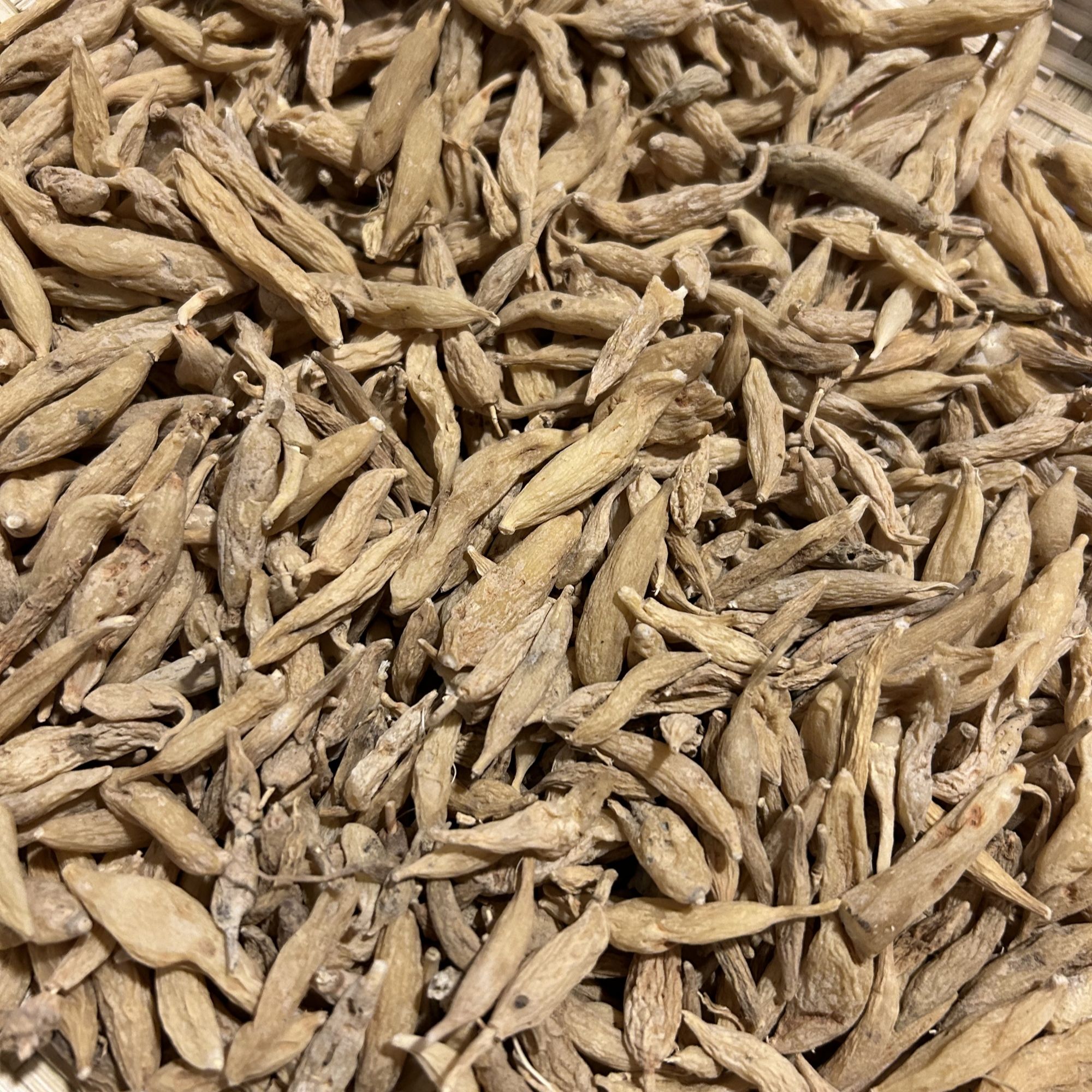 【麦冬灵芝】山货现称现拍丨山村夫人推荐250/500克农产品