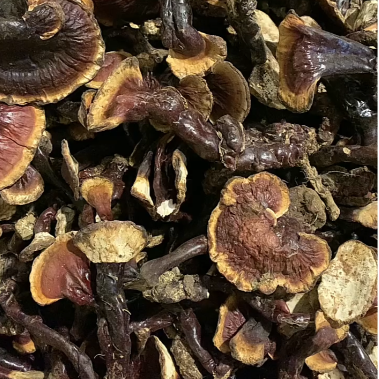 【播播间现称灵芝】现称现拍 | 山村夫人推荐山货100g/250g/500g
