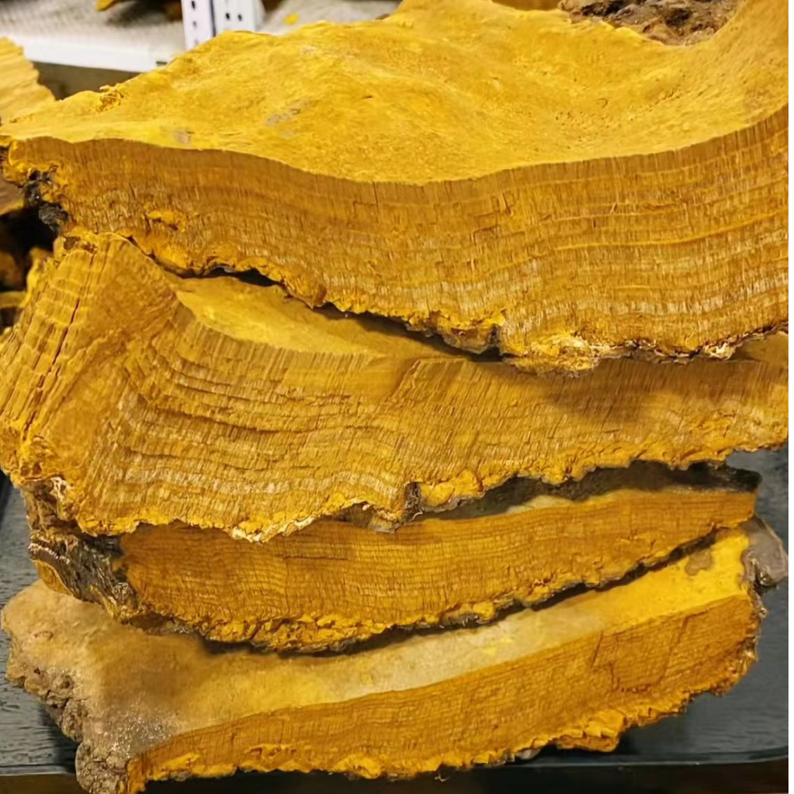 【西藏桑树桑黄百年老块】山货现称现拍丨250g/500克农产品