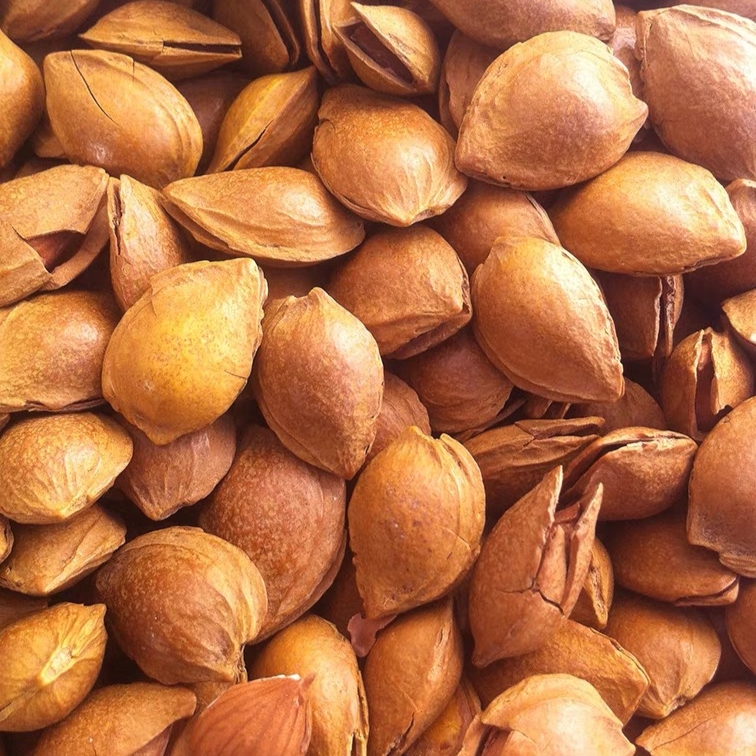 开口杏仁 奶油味儿杏仁 坚果零食 (一包500g)