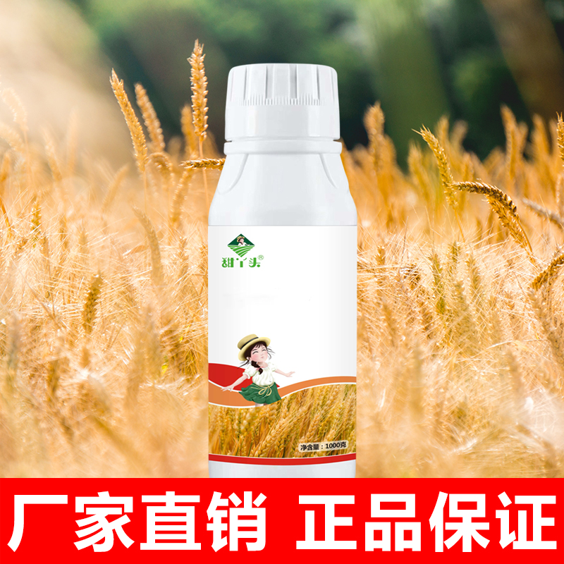 甜丫头【正品保障】联苯噻虫嗪蚜虫白粉虱小黑飞水稻小麦叶面肥