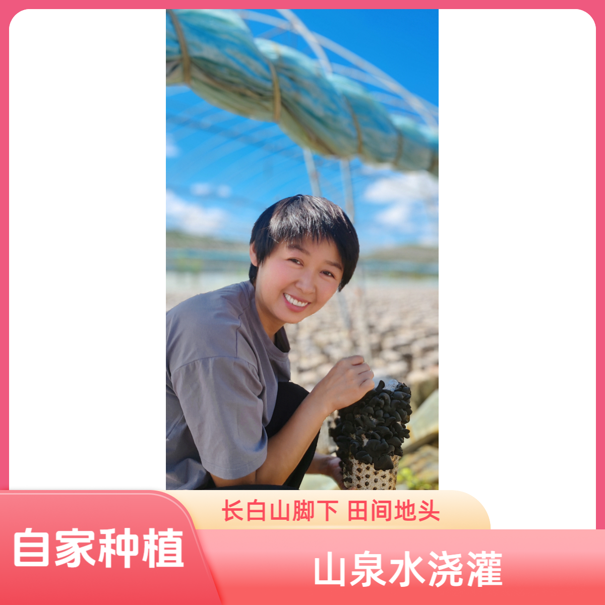 【秋耳】＋【白木耳】组合装