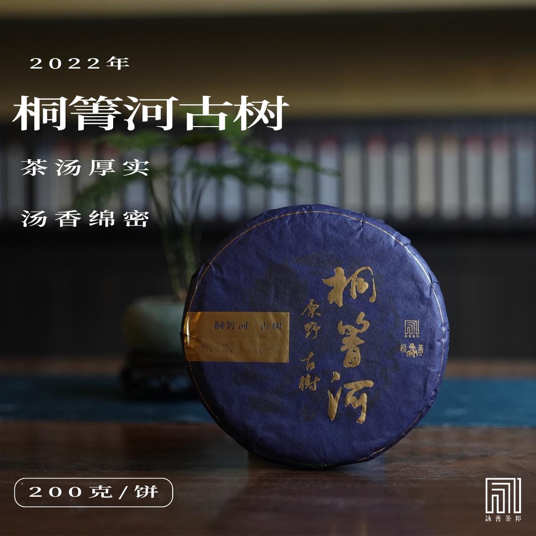 2022年极善春· 桐箐河古树普洱生茶200g饼