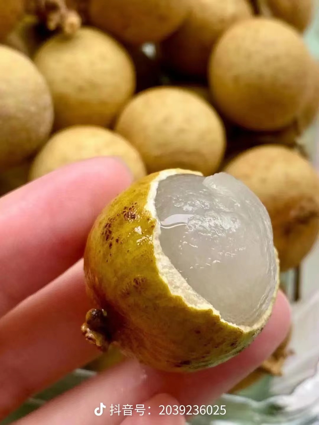 金标泰国龙眼500G