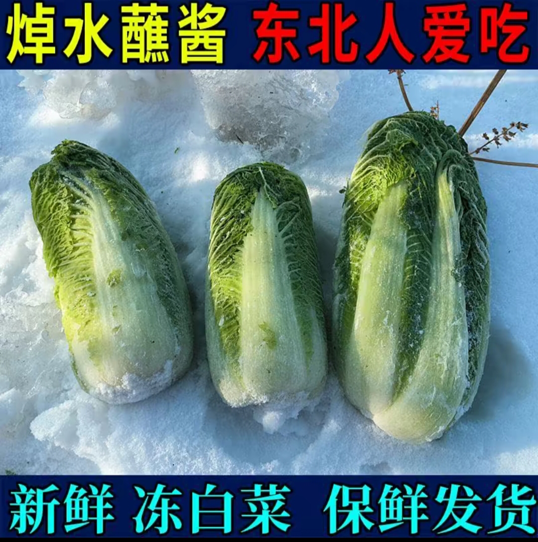 东北黑龙江讷河趴了颗冻白菜5斤