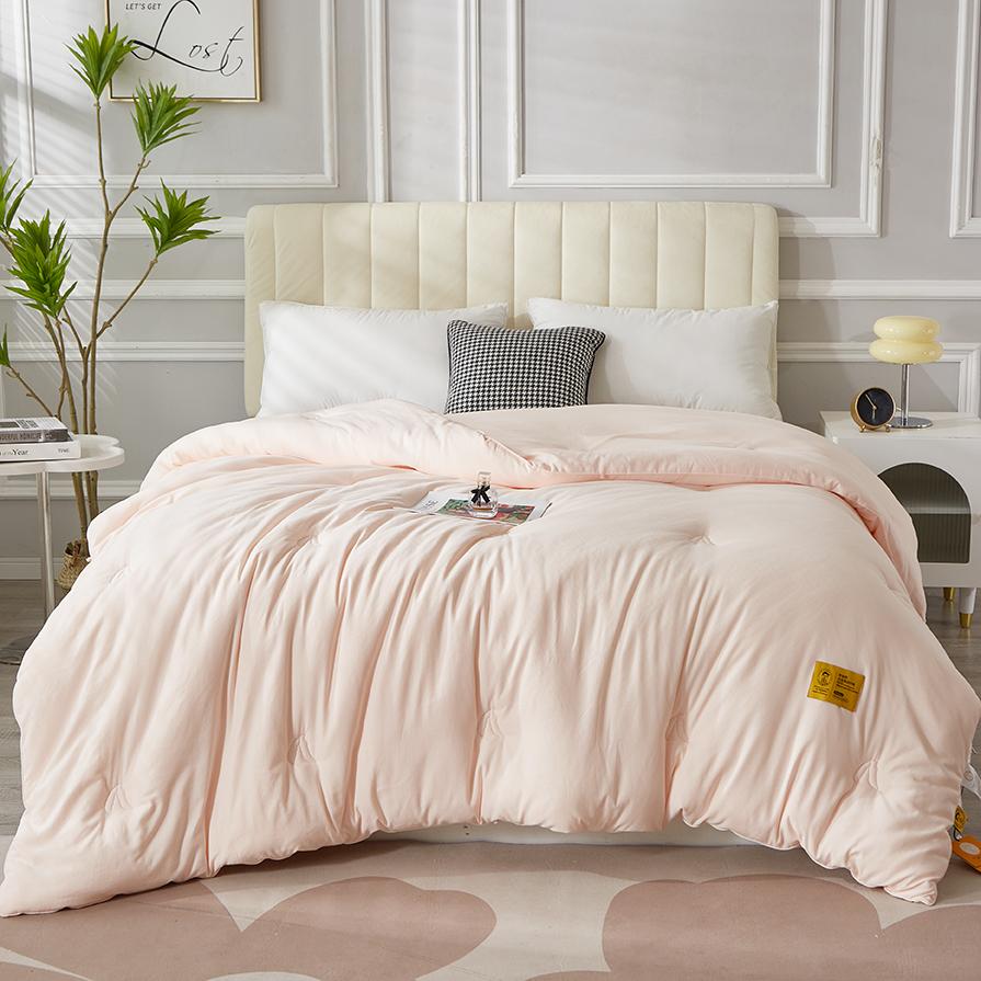 李官奇大豆植物蛋白冬被春秋被被芯加厚柔软秋冬被双人