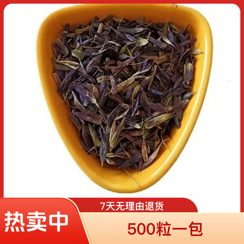 新疆乌斯玛草乌斯曼草种子新疆包邮草种子草籽500粒一包