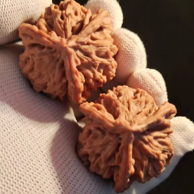 精品核桃三棱异型