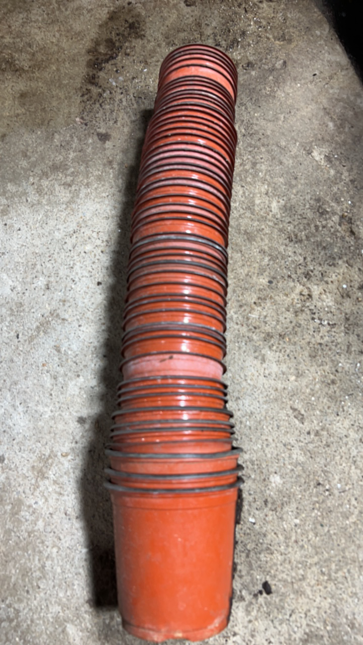 花卉绿植君子兰盆旧的透水透气组合随机发货