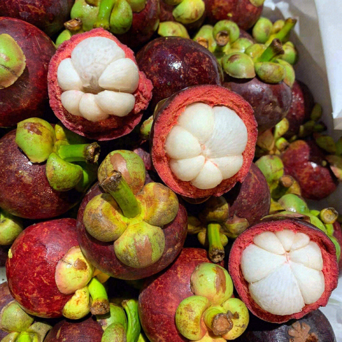 6A   山竹  整件  净重7公斤（5颗以内不售后)