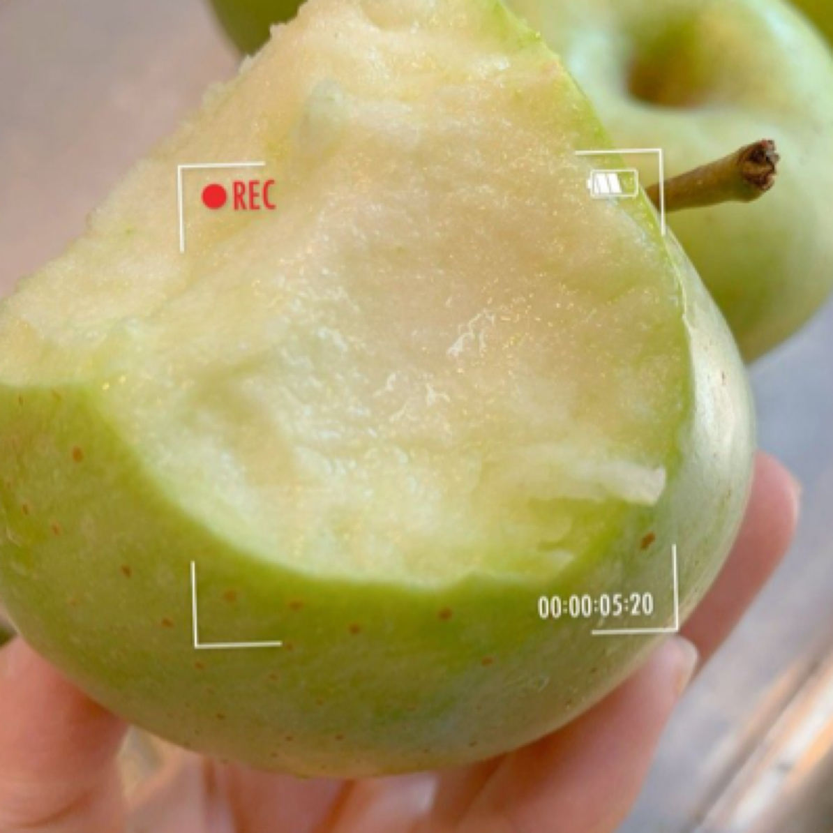 「礼盒装」雀斑美人王林苹果绿苹果青苹果水果毛重5公斤青苹果水果