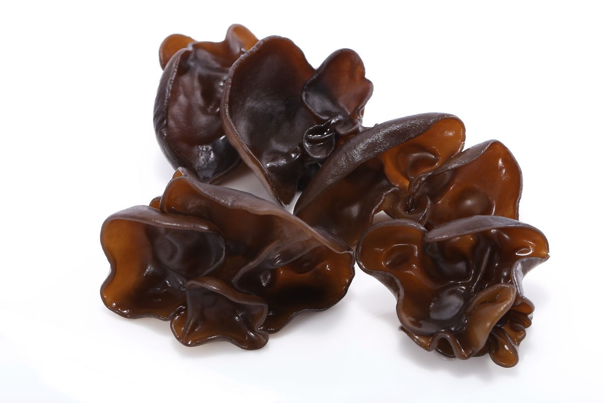 东北木耳软糯细嫩木香口感好小朵春木耳东北特产新货