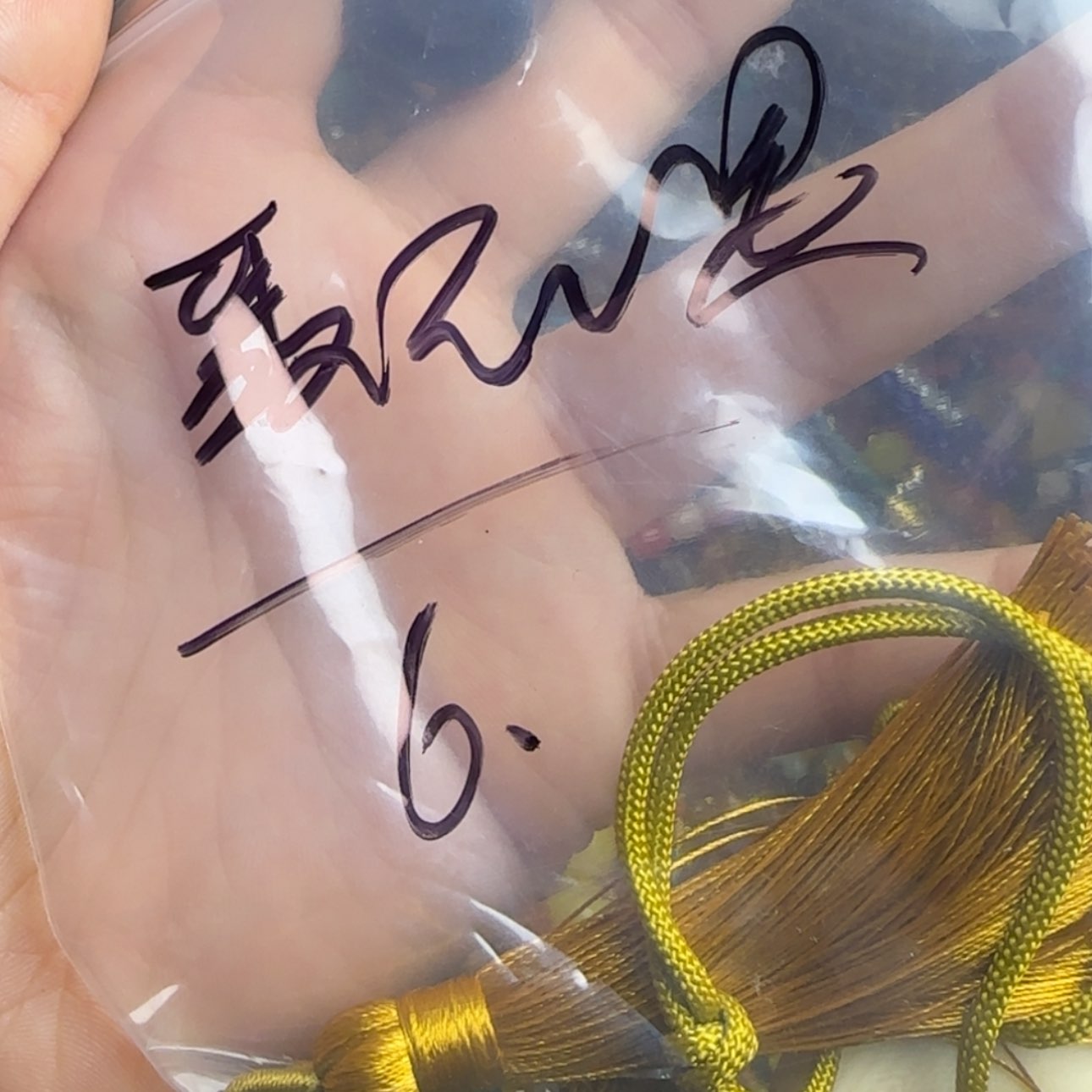 【闪购商品】菩提根/象牙果吊坠