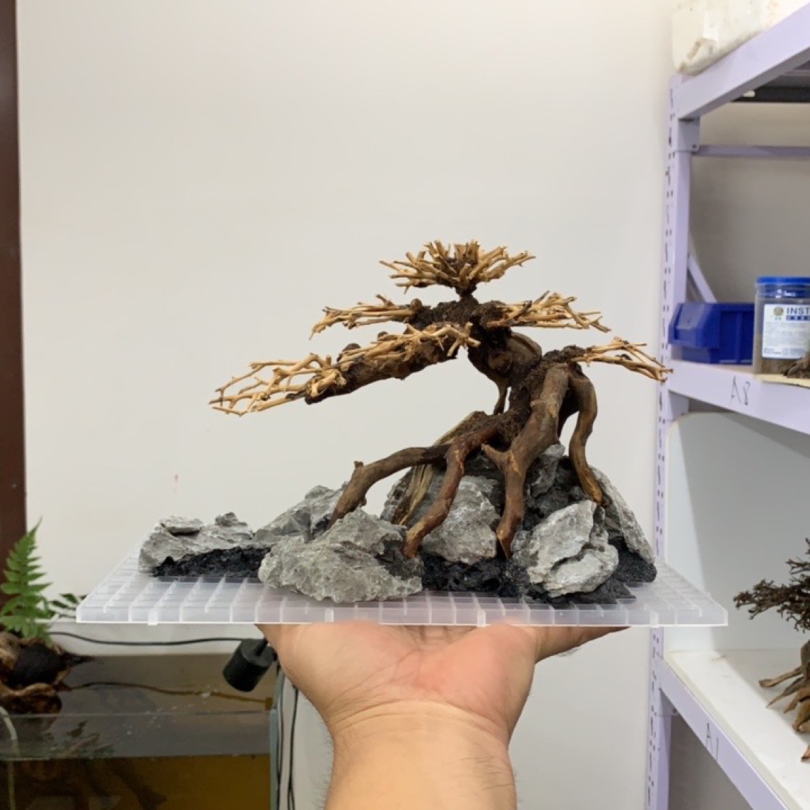 小米鱼缸造景小型鱼缸水草缸造景莫斯树沉木骨架造景树