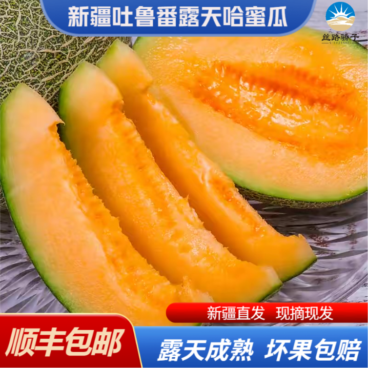 【顺丰陆运包邮】正宗新疆吐鲁番陆地火焰哈密瓜