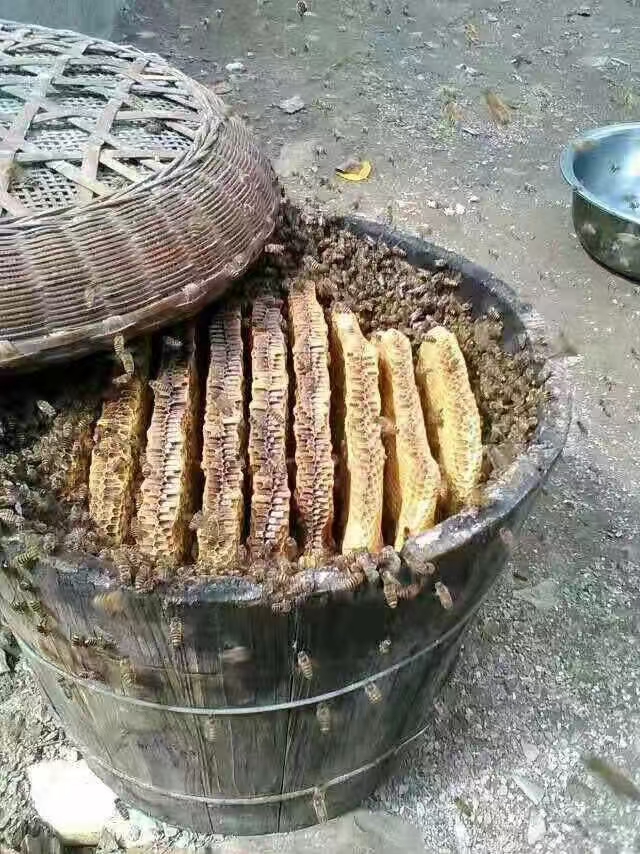 四川达州万源土特产蜂蜜食用农产品大巴山农家自产