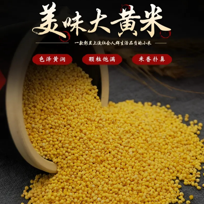陕北黄软米  大黄米 拉丝 粘黄米 棕子米 农家自种 五谷杂粮