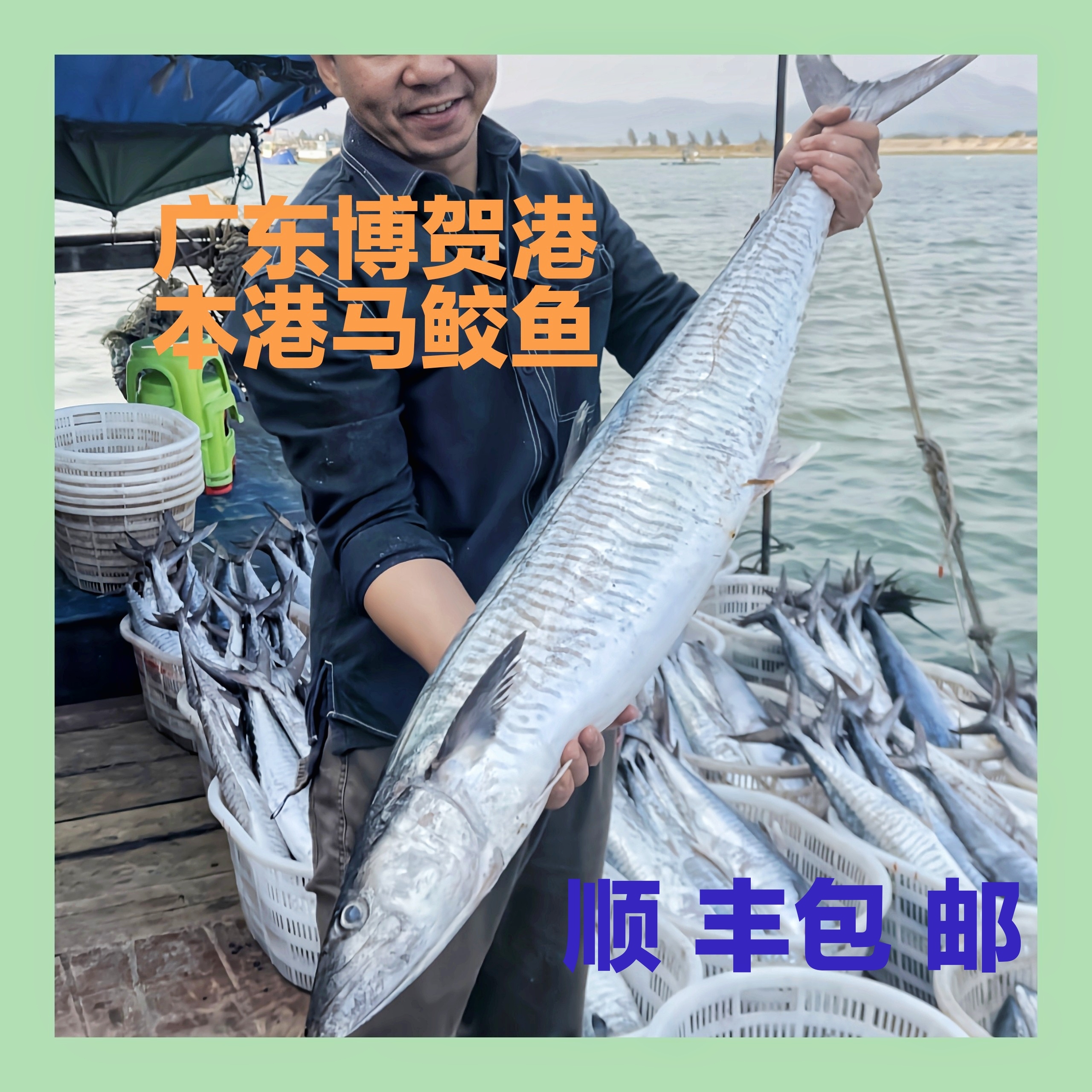 【马鲛仔海产】6斤正宗马鲛鱼 整条切片新鲜速冻 顺丰包邮 博贺港