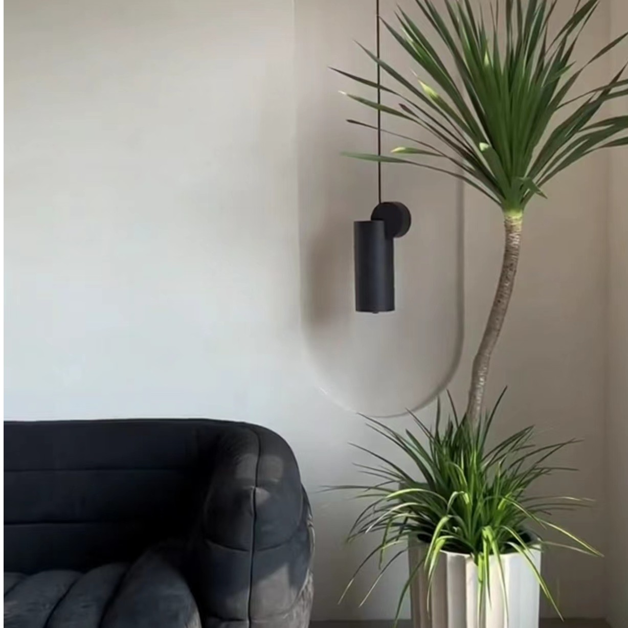 剑叶龙血树单杆龙须树大型客厅绿植室内吸甲醛造型植物书房办公室