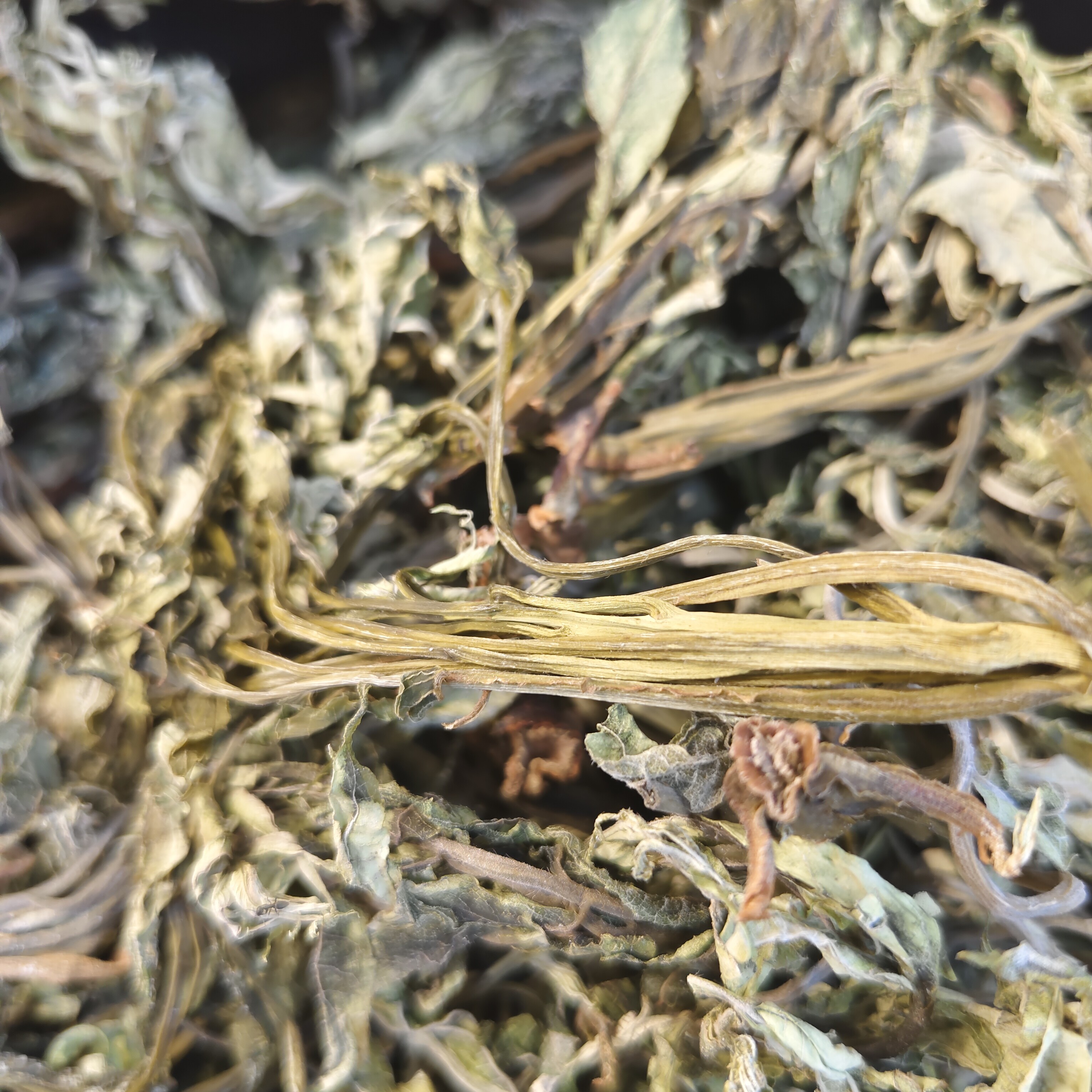 陕南岚皋特产散装干香椿