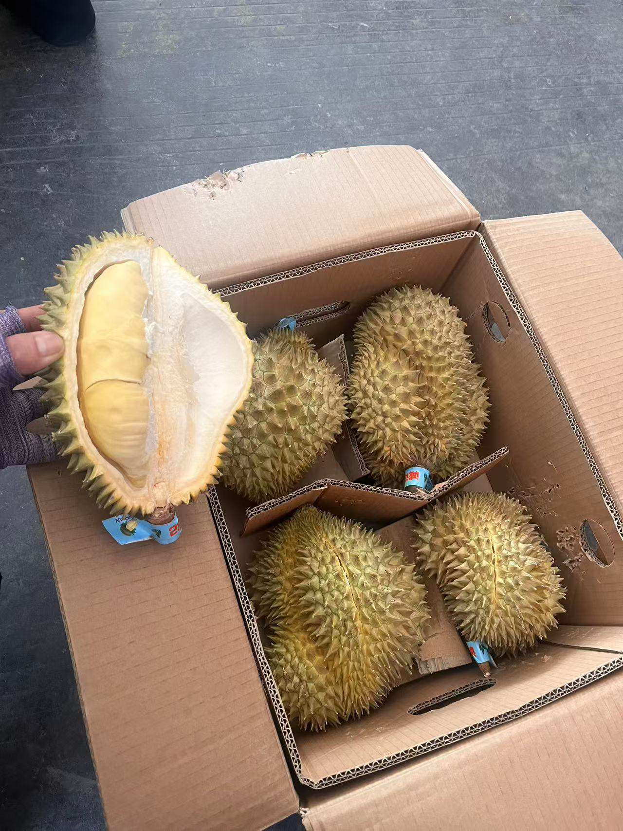 泰国树熟榴莲