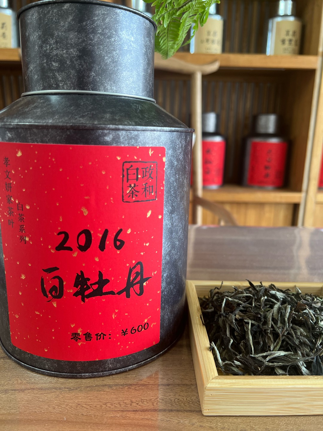 孝文妍家茶叶福建白茶政和白茶2016年政和白牡丹老白牡丹老白茶