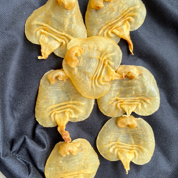 广东周百润赤嘴公/母胶1-500g