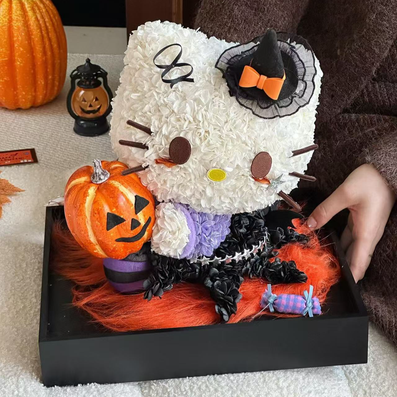 《L B D R》新款个性南瓜玩偶KT猫摆件HelloKitty永生花