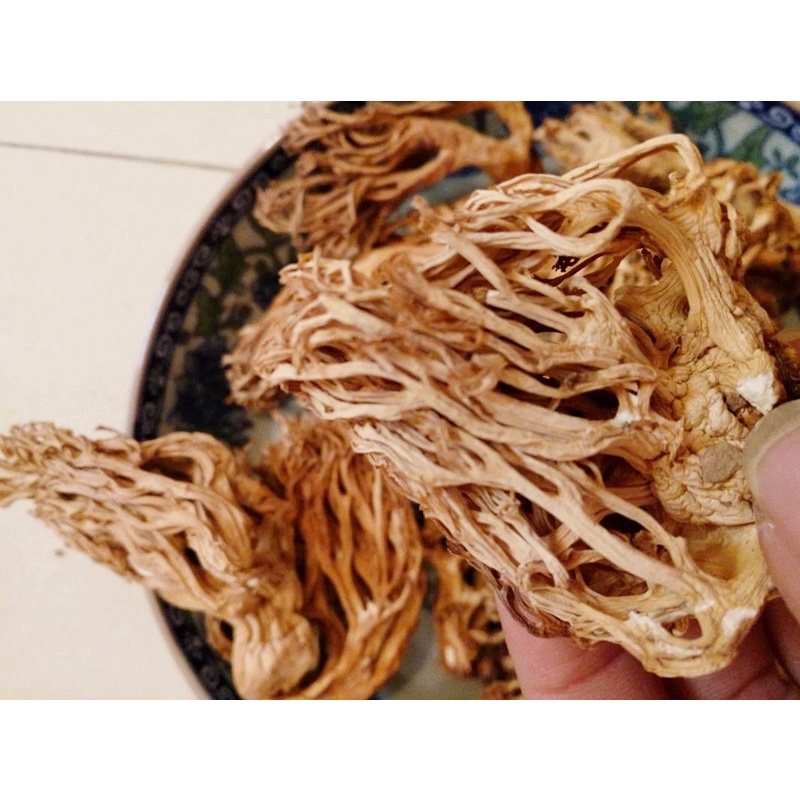 精选野生珊瑚菌 扫把菌干货刷把菌100g野生菌云南土特产蘑菇包邮