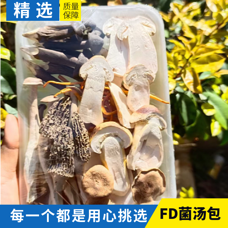 冻干菌汤包干货菌菇七彩菌汤包松茸羊肚鸡枞菌野生菌特产云南山珍