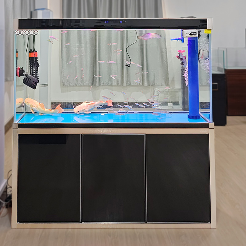 中大型下滤龙鱼缸超白玻璃鱼缸免换水生态水族箱客厅底过滤金鱼缸