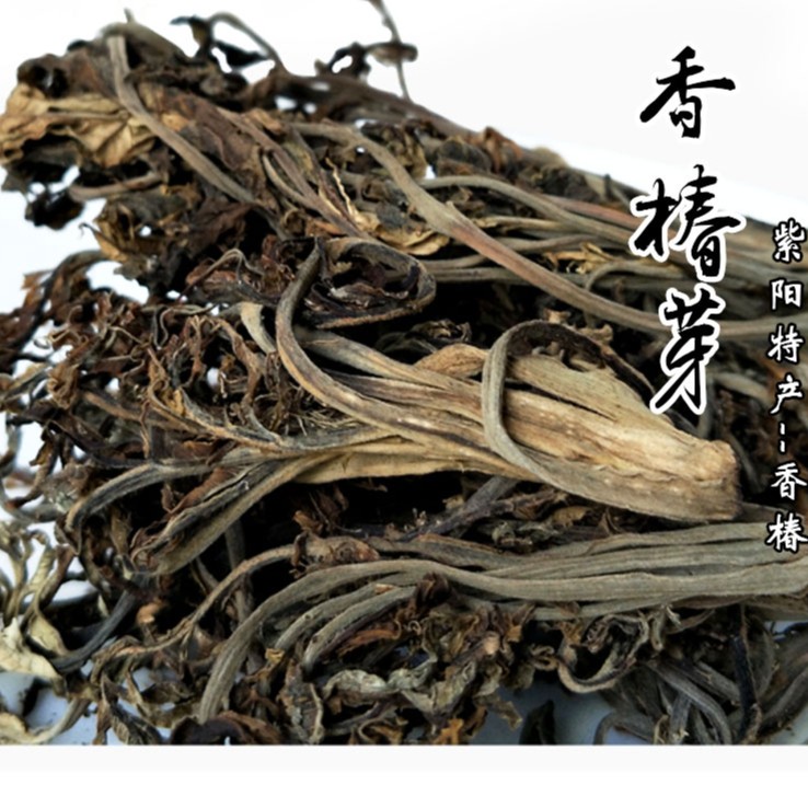 干香椿农家野生香椿深褐色小朵