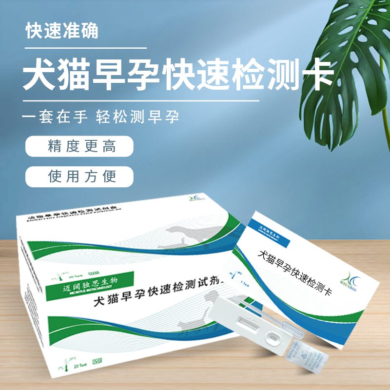犬猫怀孕快速检测卡