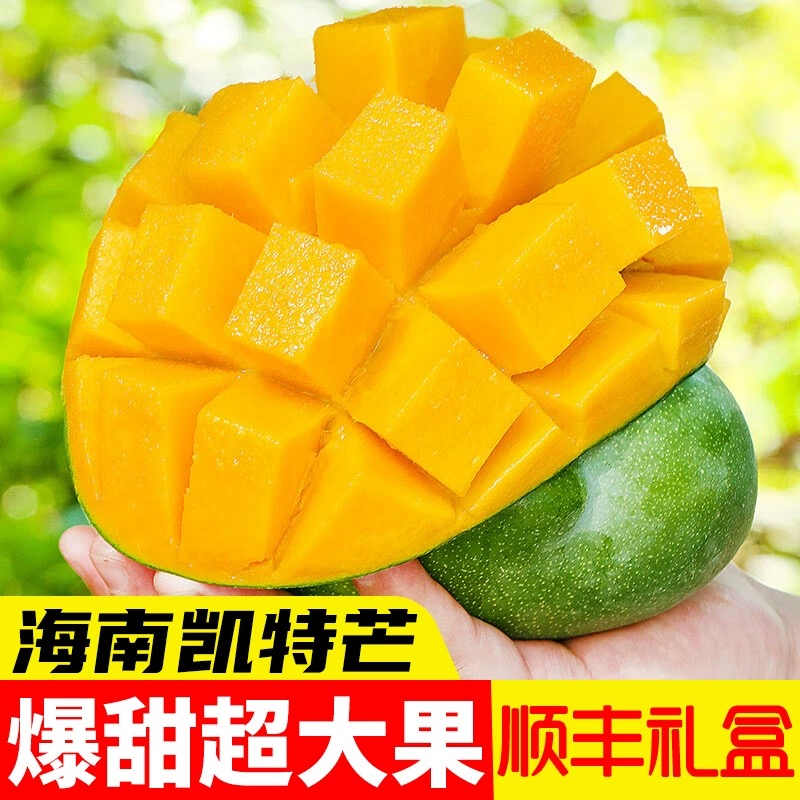 海南凯特芒超大芒果当季新鲜水果青皮澳芒三亚特产现摘5-10斤