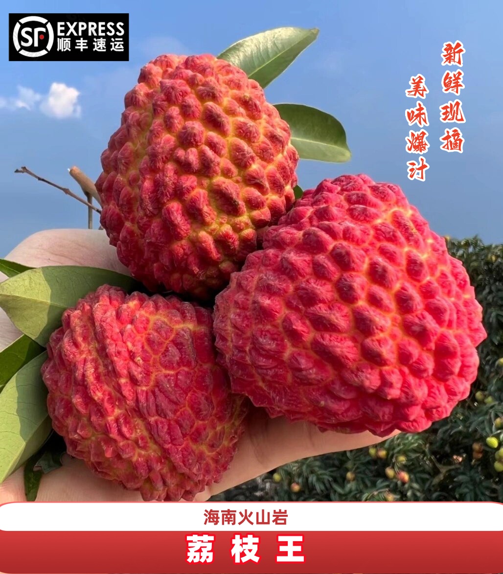【顺丰包邮】海南火山岩荔枝王超大应季新鲜热带水果4.5斤礼盒装