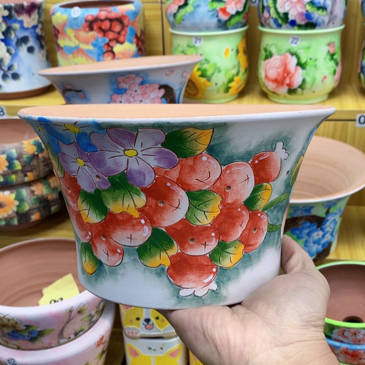 红陶20CM（含）-50CM（不含）