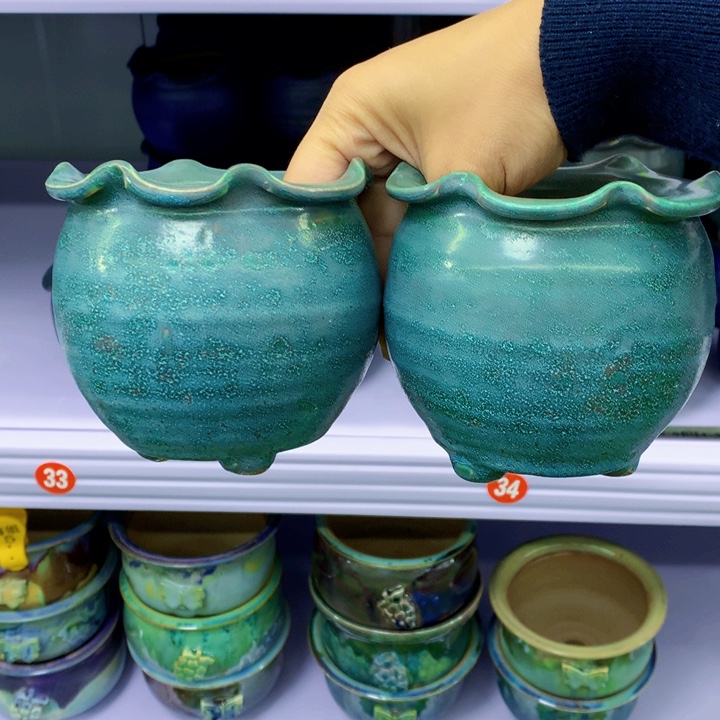 红陶20CM以下夕*?