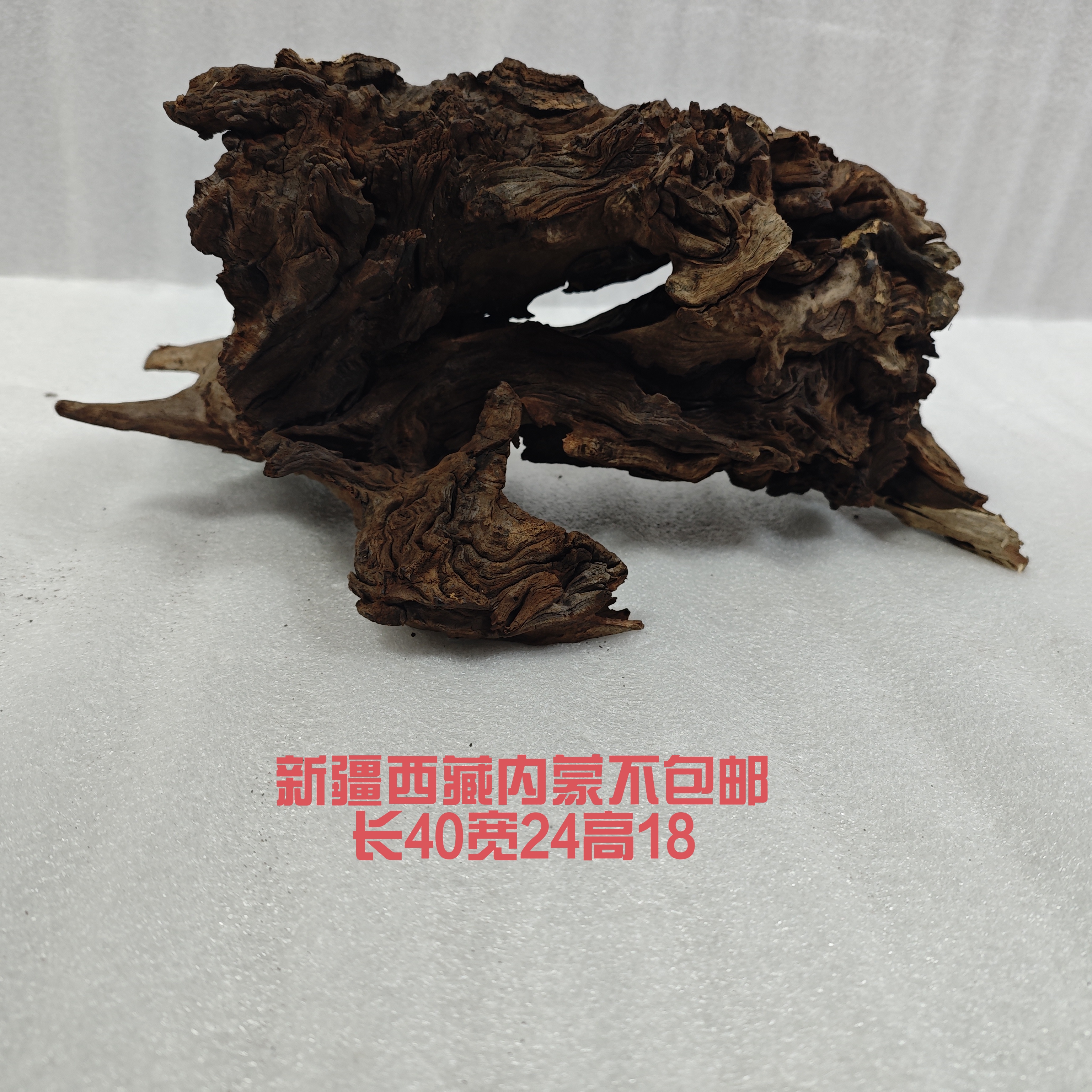 华丽景观沉木鱼缸造景