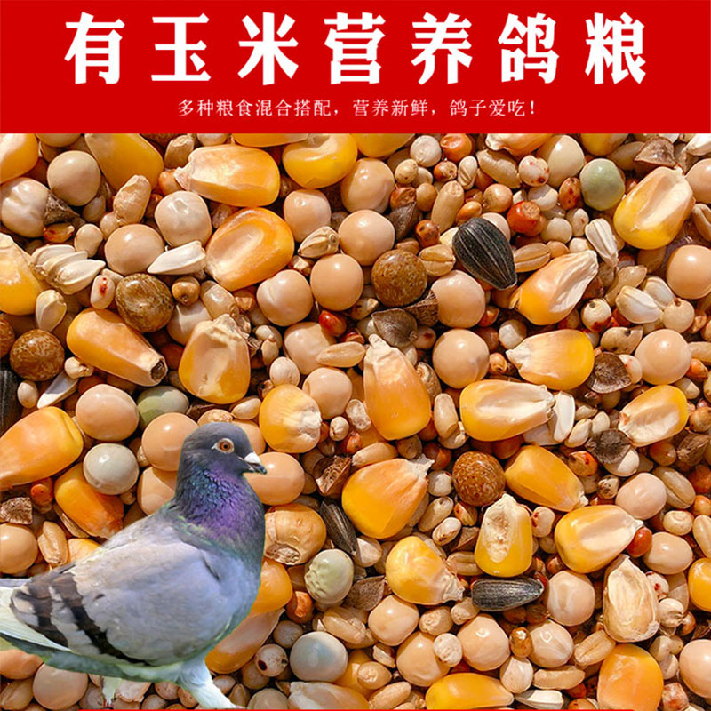 10斤鸽子粮有玉米鸽粮食营养饲料鸟食信鸽观赏鸽肉鸽幼鸽成鸽粮