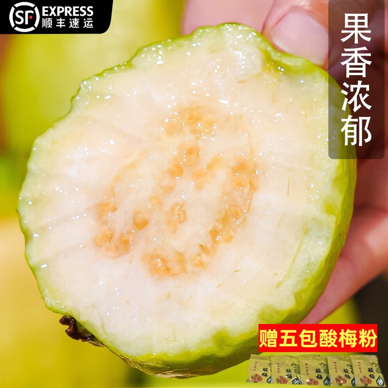 【顺丰包邮】福建番石榴芭乐红心白心芭乐现摘水果3/4.5斤