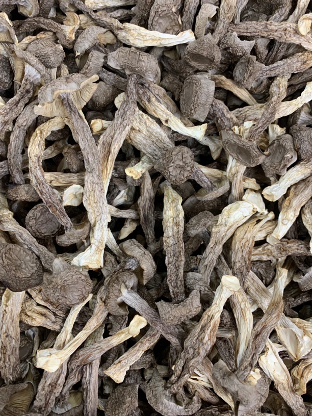 鹿茸菇脆脆菇煲汤爆炒菌菇干货