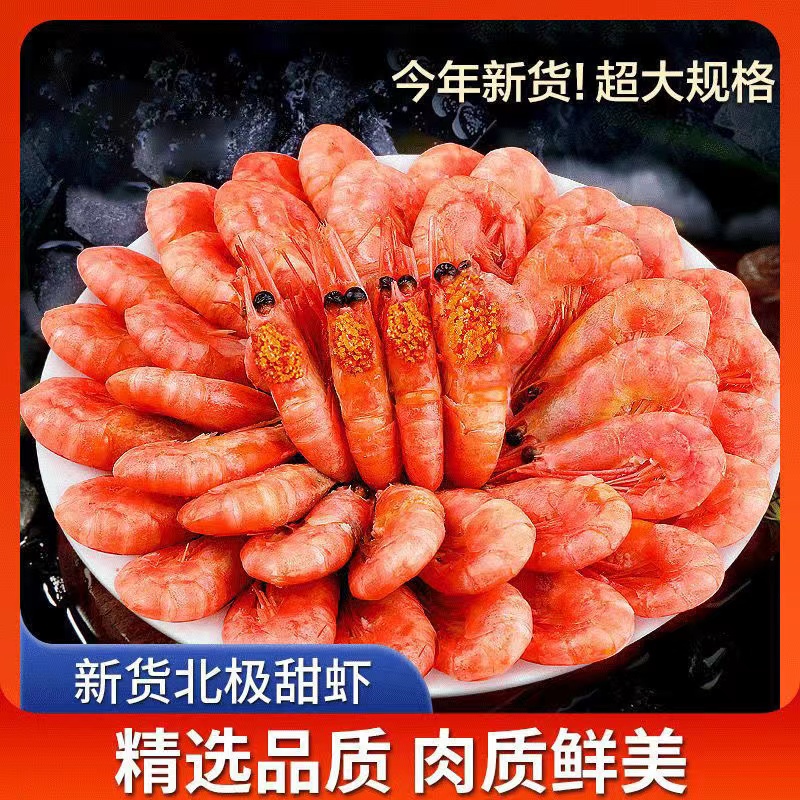 北极熊头籽甜虾到手十斤，90%头籽，10%青黑头