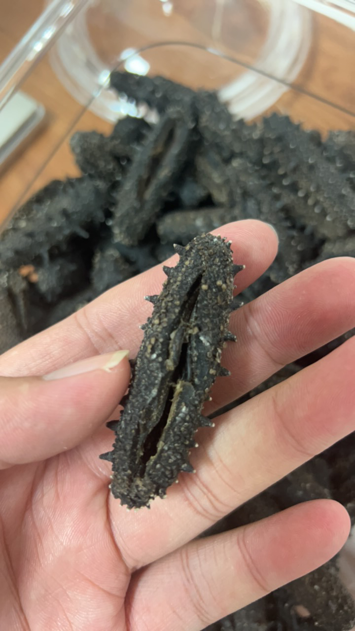 大连海参（38头左右）开口 干净 送礼