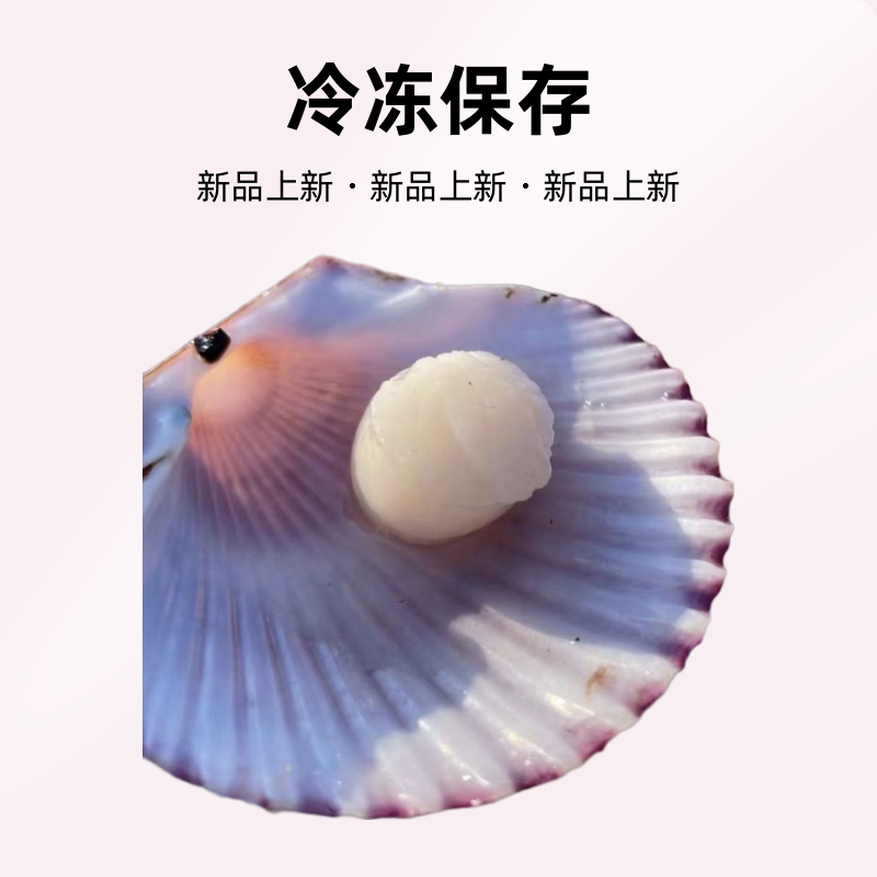 大连现扩原浆扇贝丁（顺丰包邮）省外冻发