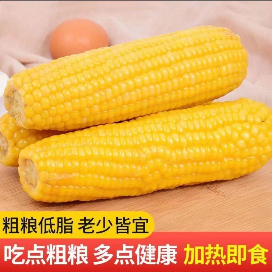 开播福利【黄糯玉米】香甜鲜食黄玉米10根/整箱包邮5斤批发