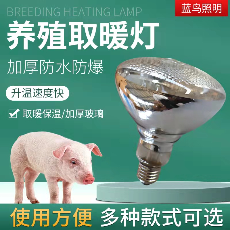 养殖取暖灯泡保温灯养殖场鸡舍猪产床猪场兽用小鸡取暖加热灯泡