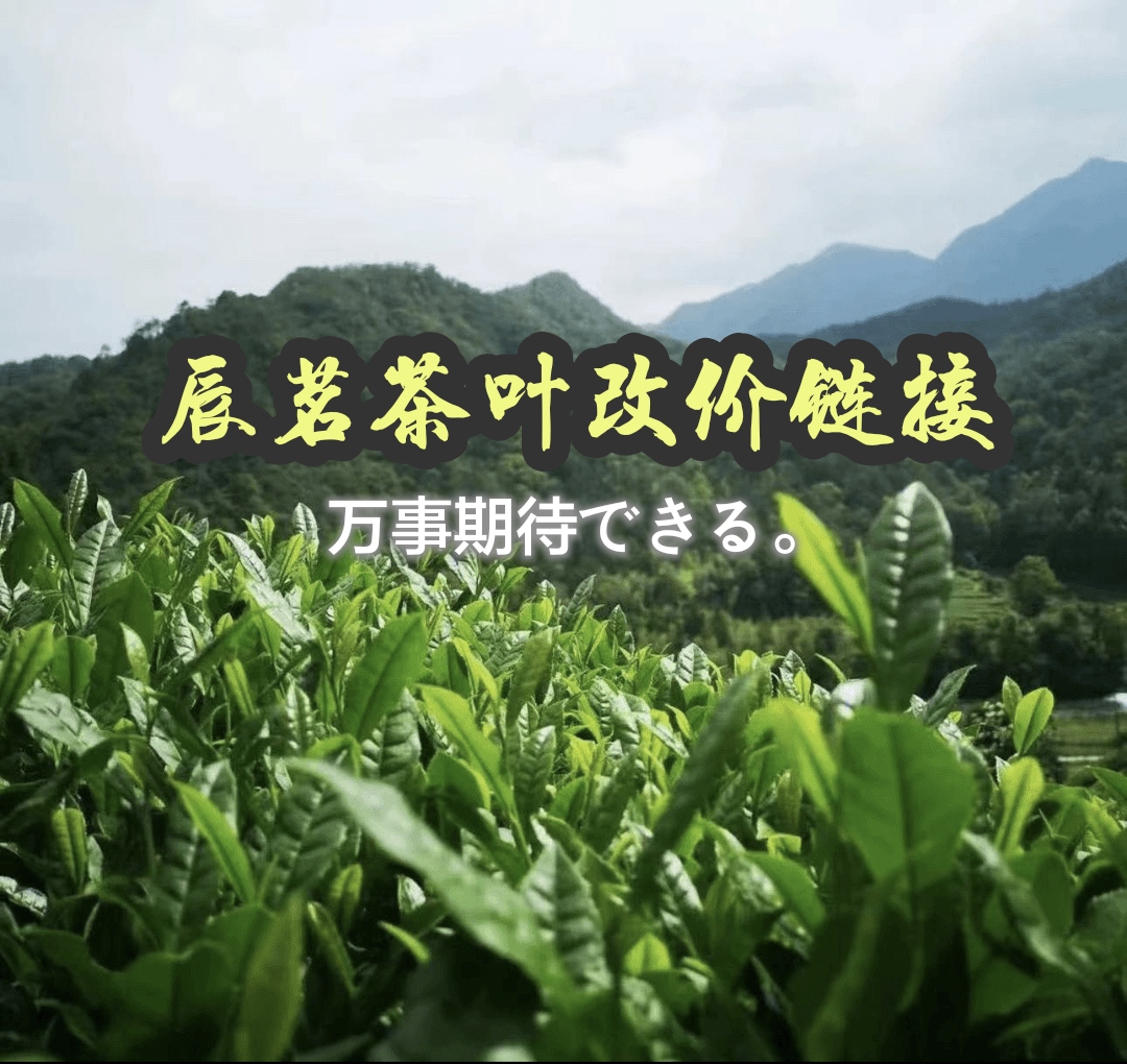 辰茗岩茶改价链接663号（以直播间上品为准）