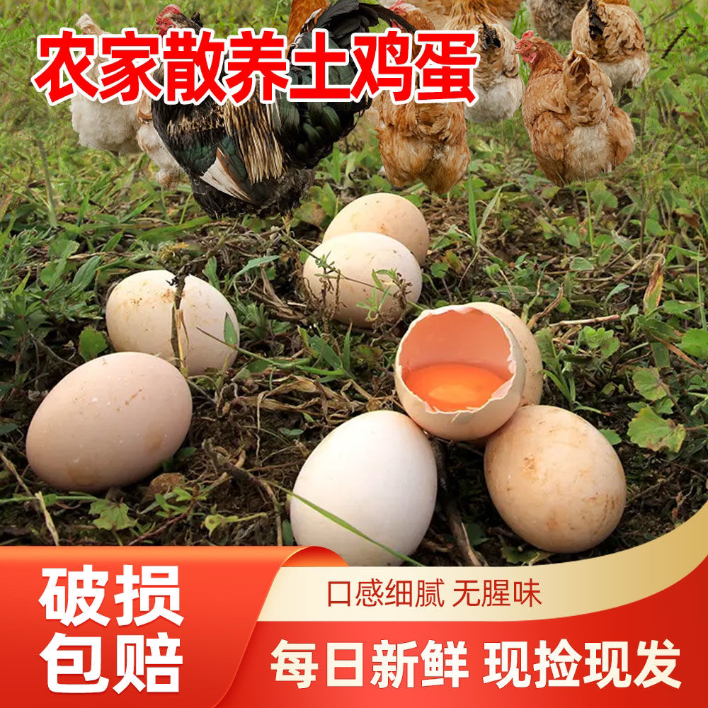 农家土鸡蛋自产自销现捡现发
