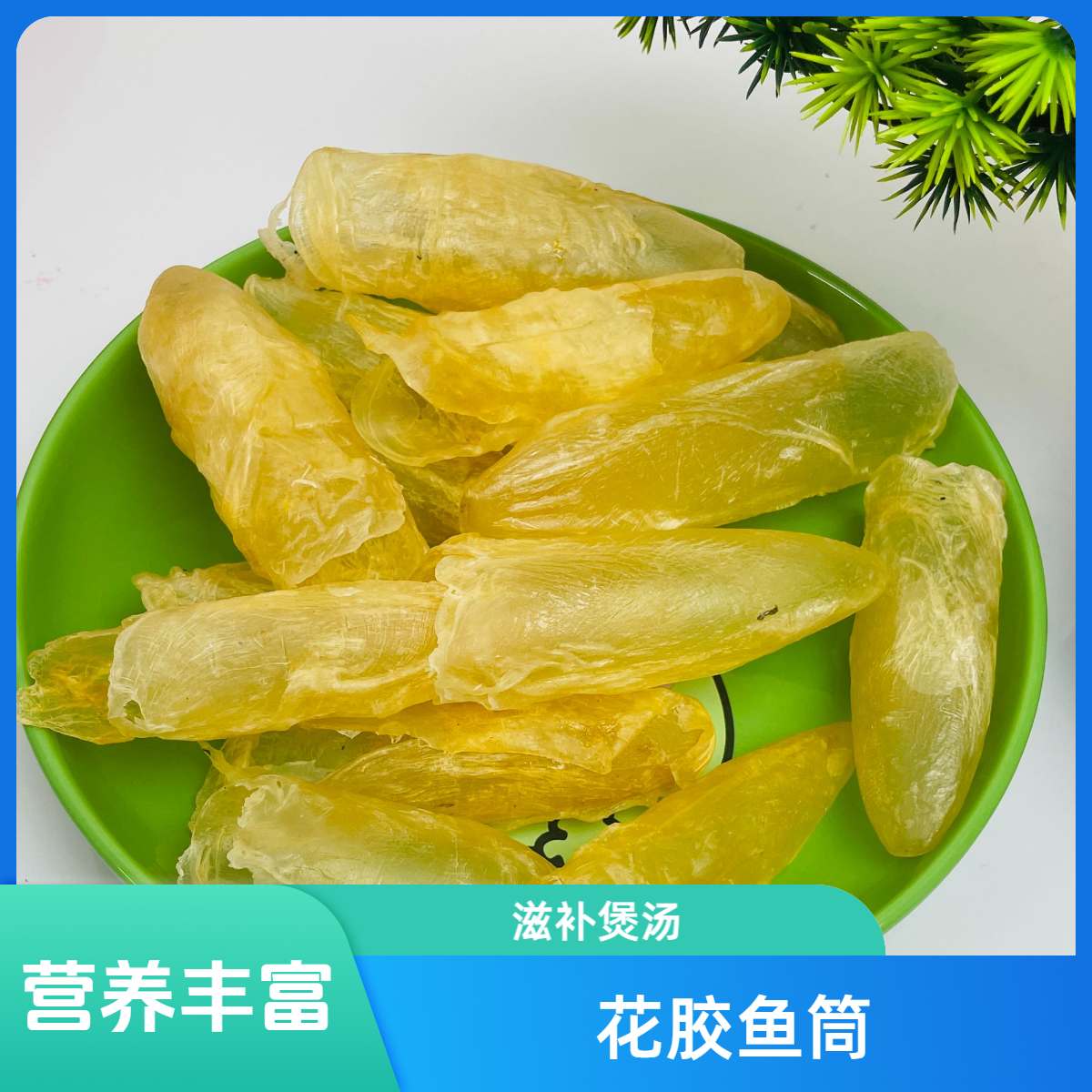 70头咸水花胶鱼筒滋补煲汤营养丰富